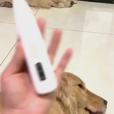 AFEITADORA DE PRECISIÓN IMPERMEABLE PARA MASCOTAS